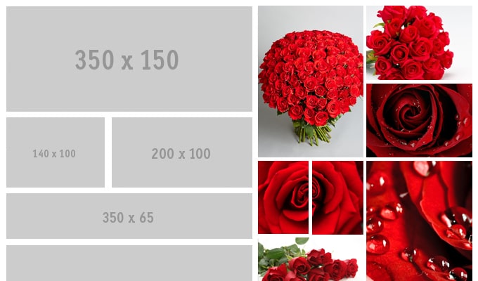 generate dummy images